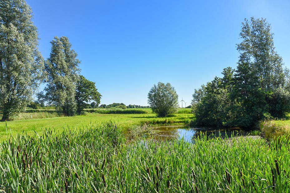 Foto aus der Fotogruppe 