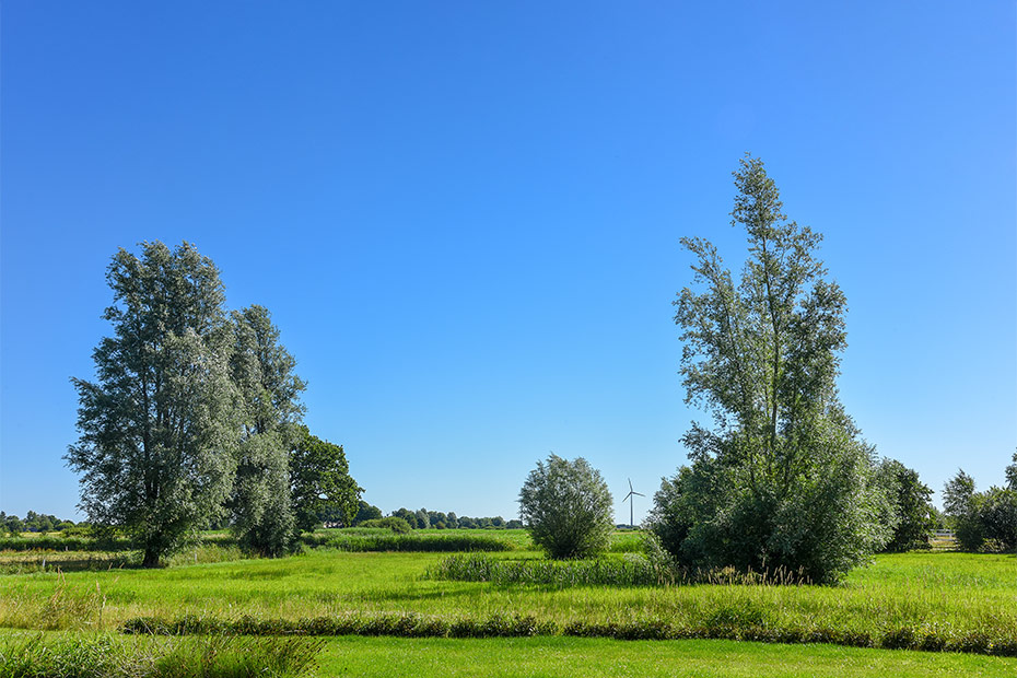 Foto aus der Fotogruppe 